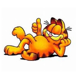 Garfield Classics Daily Comic